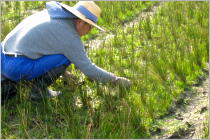 photo008