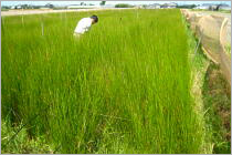 photo008