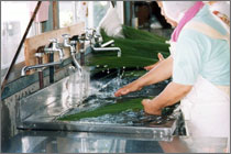 photo008
